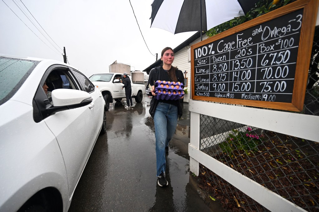 Early-bird customers line up for eggs at Inland farms as prices soar – San Bernardino Sun