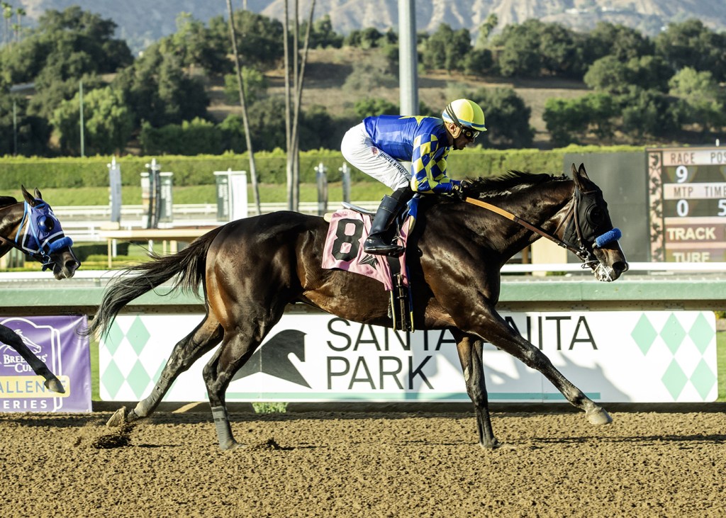 Bob Baffert has weird, winning weekend at Santa Anita – San Bernardino Sun