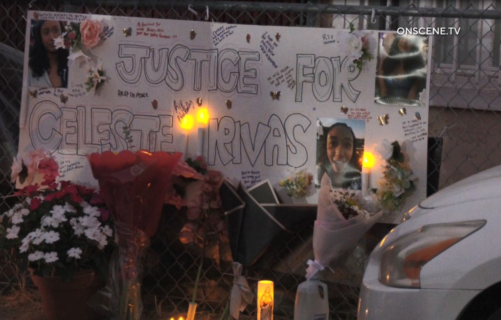Lake Elsinore girl likely dead for weeks before she was found in D4vd’s trunk – San Bernardino Sun