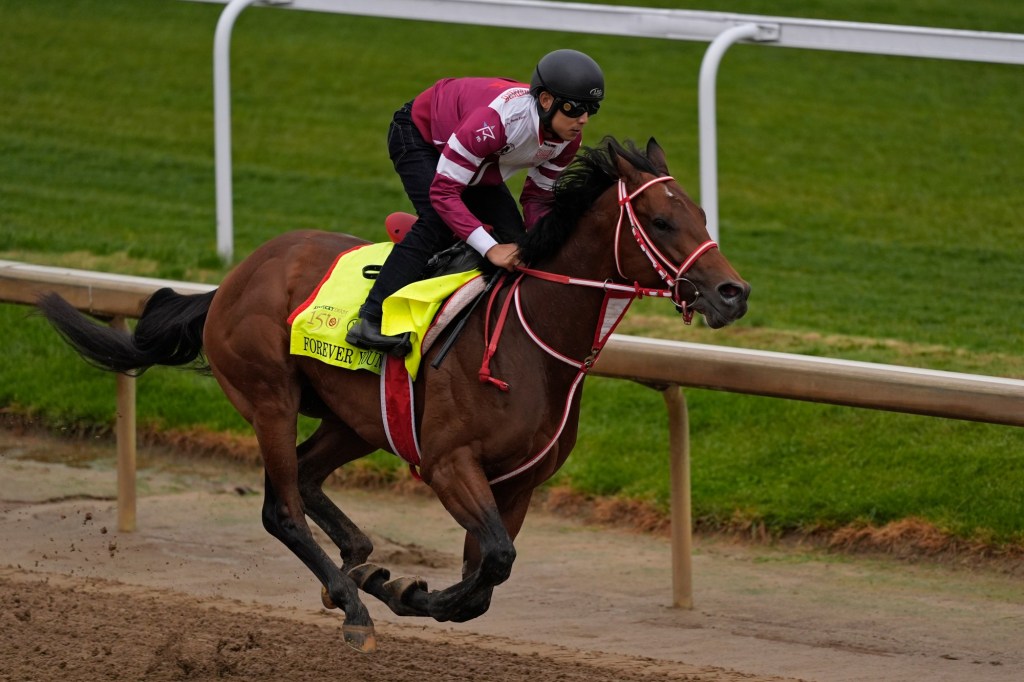 A forever wait can end in the Breeders’ Cup Classic – San Bernardino Sun