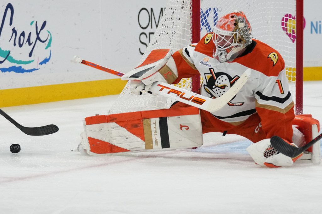 Ducks host Red Wings after encouraging road trip – San Bernardino Sun