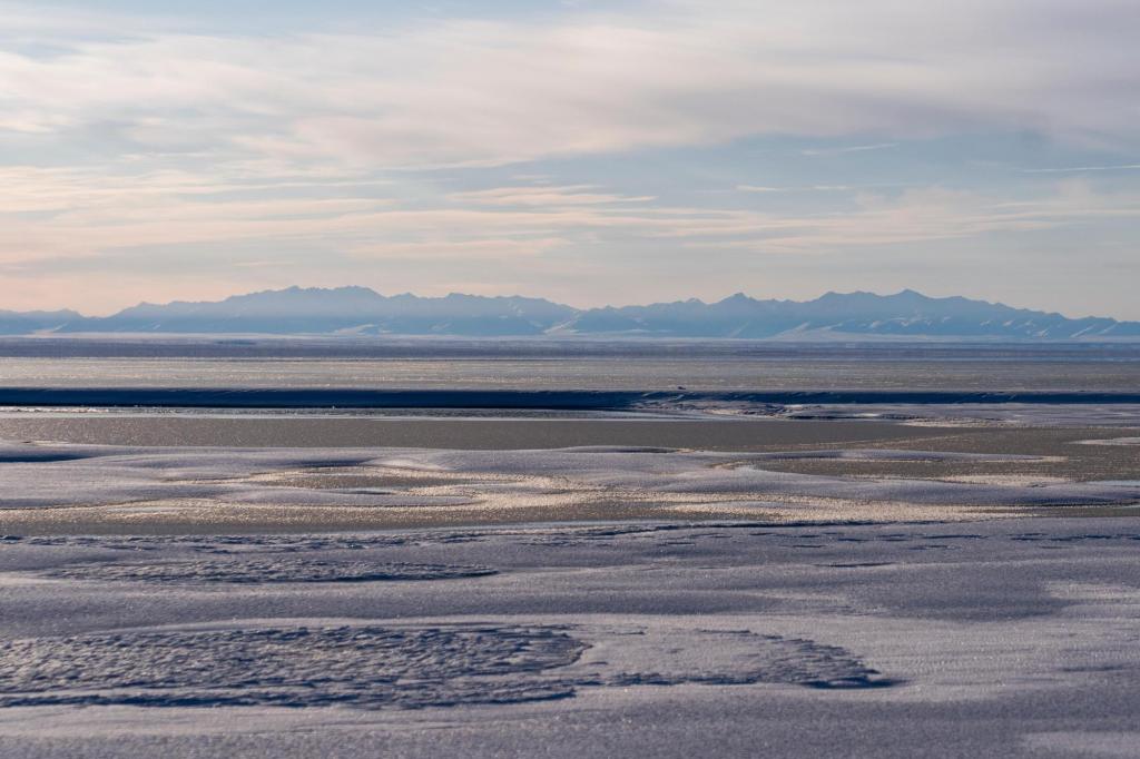 Trump administration finalizes plan to open pristine Alaska wildlife refuge to oil and gas drilling