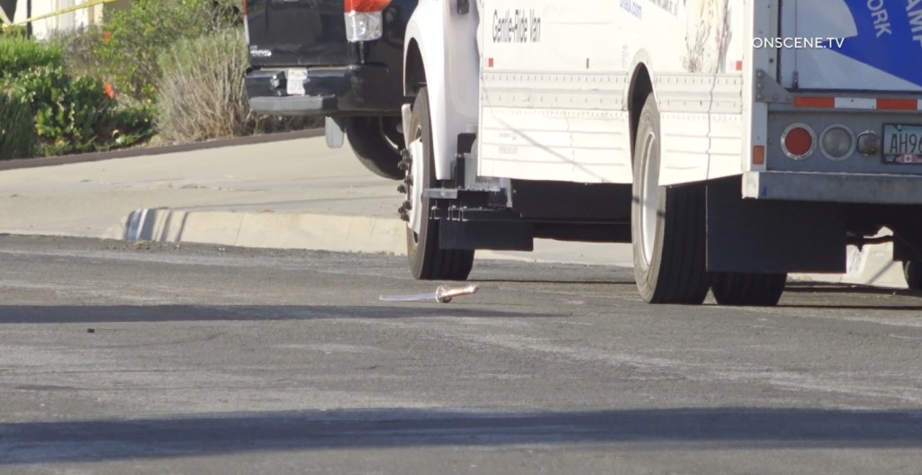 Jury weighs fate of San Dimas woman accused of fatally stabbing wife with sword – San Bernardino Sun