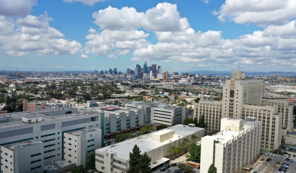 USC sold dead bodies to Navy for Israel Defense Forces medical training program – San Bernardino Sun