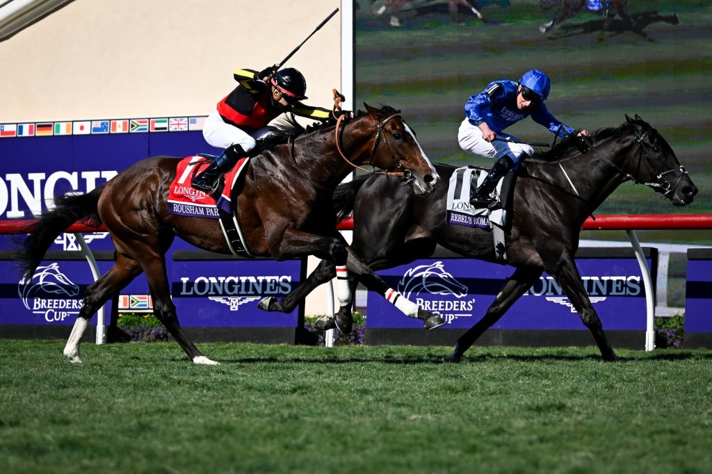 Rebel’s Romance, Khaadem will run this week at Del Mar as part of the Breeders’ Cup.