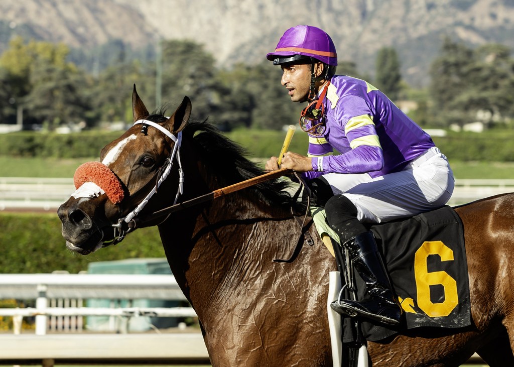 Man O Rose takes first edition of The Chosen Vron, formerly Cary Grant Stakes – San Bernardino Sun