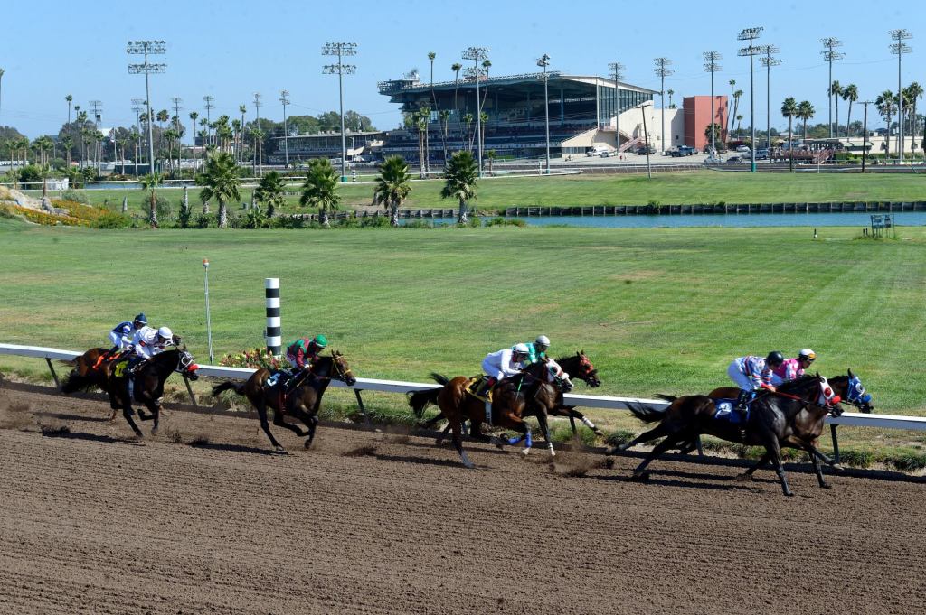 Fdd Dreams wins Champion of Champions at Los Alamitos as a horse dies – San Bernardino Sun
