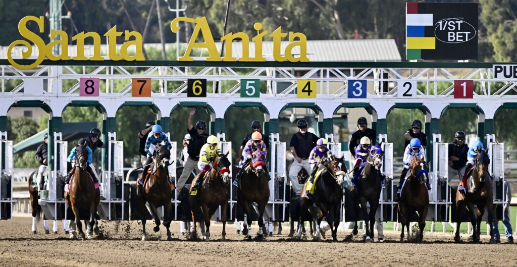 Racehorse killed in collision on Santa Anita training track – San Bernardino Sun