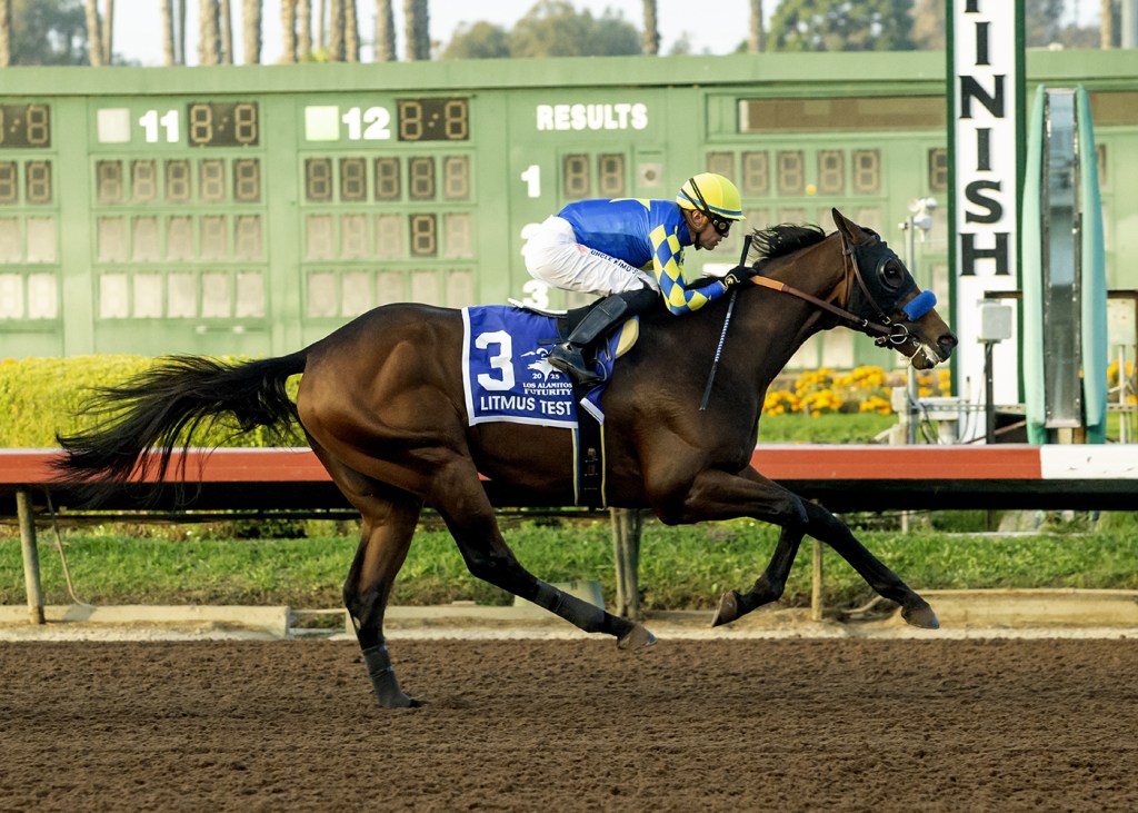Litmus Test gives Bob Baffert his 15th Los Alamitos Futurity – San Bernardino Sun