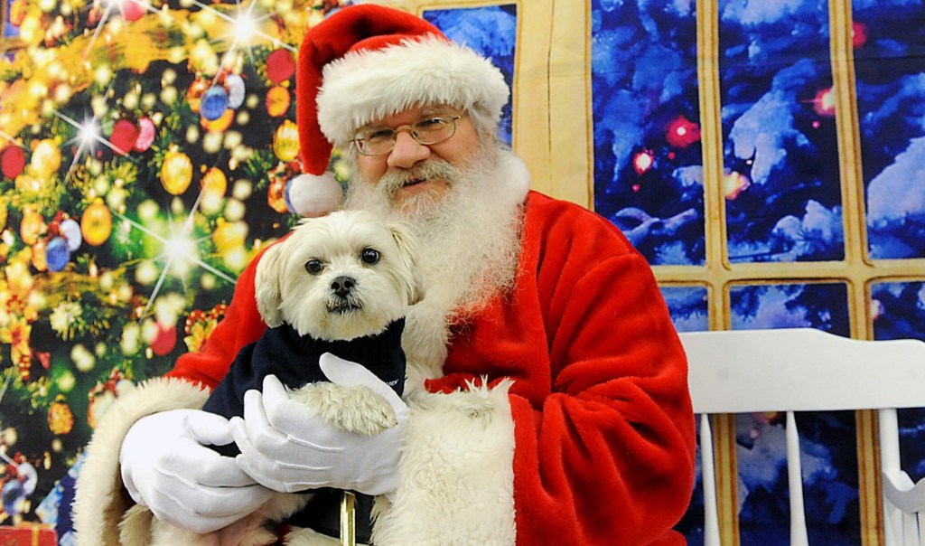 Tractor Supply hosting pet adoption event this week – San Bernardino Sun