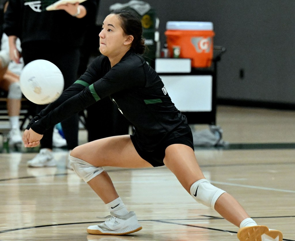 Two Inland girls volleyball players earn top honors – San Bernardino Sun