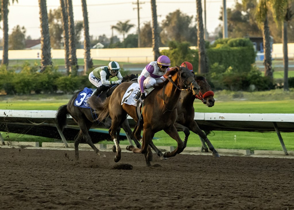 Los Alamitos stakes upset leaves 3 tied for jockey title – San Bernardino Sun