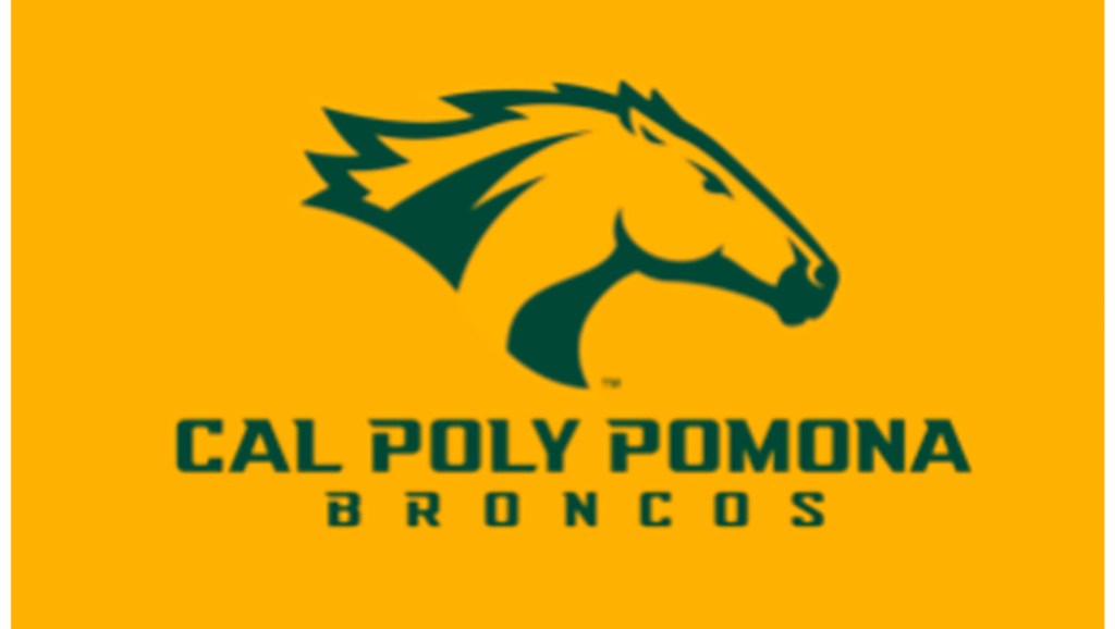 Cal Poly Pomona women’s soccer team falls in NCAA Division II semifinals – San Bernardino Sun